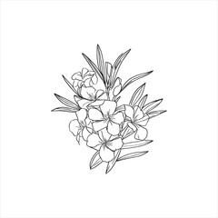 Decorative abstract oleander hand-drawn flower bouquet of line art design. Easy sketch art of Oleander flower outline.
 - obrazy, fototapety, plakaty