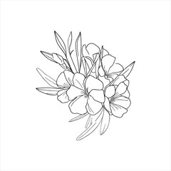 Decorative abstract oleander hand-drawn flower bouquet of line art design. Easy sketch art of Oleander flower outline.
