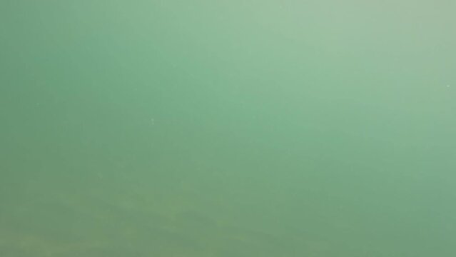 Ocean nurkowanie