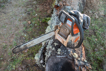 Um motosserra sobre um tronco de madeira com uma luvas sobre o mesmo num dia árduo de trabalho