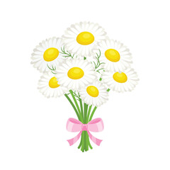 Bouquet of white daisy with pink bow. Vector cartoon flat illustration. Flowers icon.