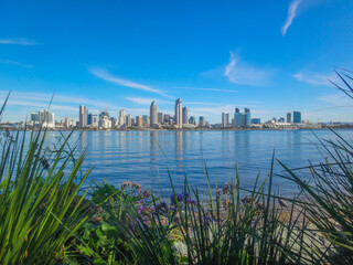 San Diego s Coastal Splendor: Cityscape Framed by Nature
