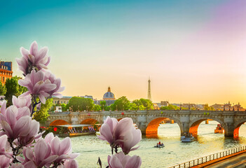 bridge Pont Neuf and Seine river at sunny spring sunset, Paris, France, retro toned