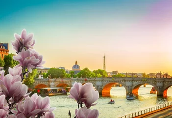 Rollo Paris bridge Pont Neuf and Seine river at sunny spring sunset, Paris, France, retro toned