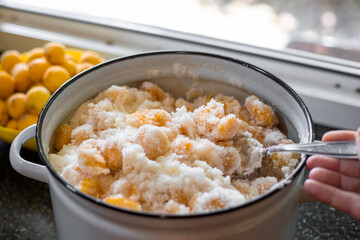 A woman stirs Apricots covered with sugar in an enamel pan to prepare fruit jam