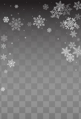 White Snow Vector Transparent Background.