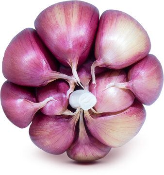 Alho Roxo - Purple garlic