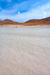 Tuyajto lagoon and salt lake in the Altiplano over 4000 meters over the sea level with salt crust...