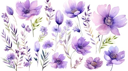  a bunch of flowers that are painted in watercolor on a white background with a green stem and purple flowers.
