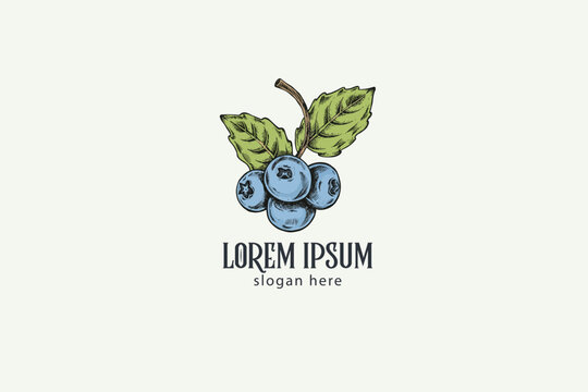 hand-drawn colorful blueberry with leaf logo design, illustration retro style, vintage logo design