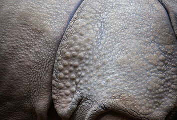 Rhino skin.