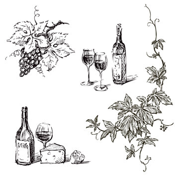 Hand drawn illustration of ripe grape bunch, wine bottles,wine glasses, cheese, lemon, vine branch with leaves and tendrils