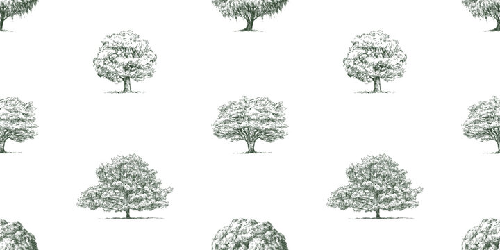 Seamless vector background of sketches silhouettes different deciduous trees willow, oak, maple, linden with lush foliage in summer, hand drawn pattern for wallpaper, paper