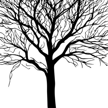 tree silhouettes in black on white background