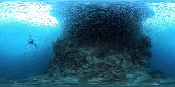Spherical VR 360 degrees footage of the man freediver swimming along the coral reef with lots of fish