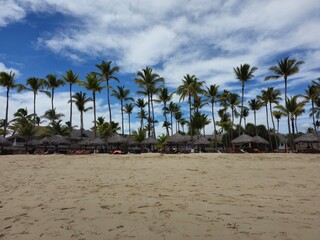 Palm trees on the beach in Nosy Be in Madagaskar 