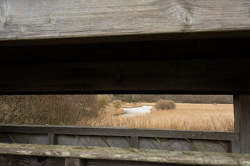 Affût pour l'observation des oiseaux en Bretagne