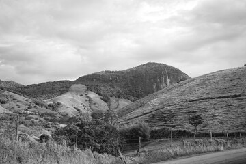 landscape in the morning