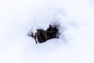 a small hole or cave in the snow
