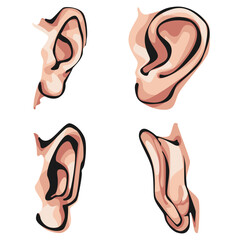 Vector set Illustration of Ears with detailed color