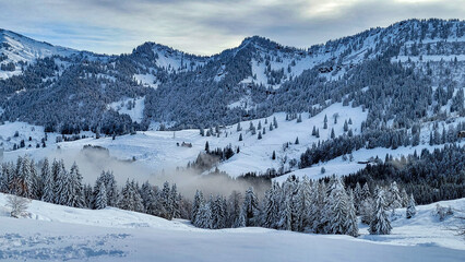 Fototapeta na wymiar Winter in Germany, winter in Bavarian Swabia, winter in the Alps