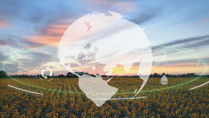 Holographic globe over sunflower field with symbols for green energy, climate change, alternative energy generation