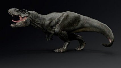 Tyrannosaurus Rex Stan render of background. 3d rendering