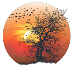 Romantic sunset or sunrise isolated on transparent or white background, png
