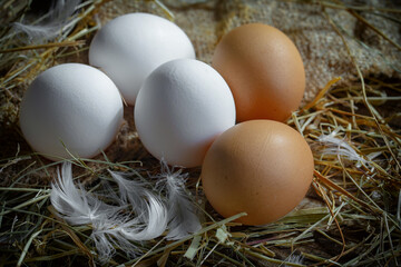 Chicken eggs, in a nest of feathered blades of grass, on an old background.