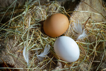 Chicken eggs, in a nest of feathered blades of grass, on an old background.