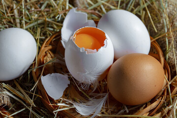 Chicken eggs, in a nest of feathered blades of grass, on an old background.