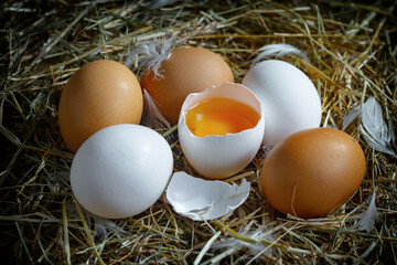 Fresh chicken eggs in a nest of dried grass blades. A tasty ingredient for preparing any healthy food.