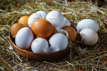 Fresh chicken eggs in a nest of dried grass blades. A tasty ingredient for preparing any healthy food.