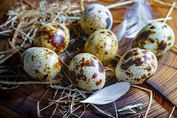 Obraz premium Quail eggs, raw, against the background of dry grass
