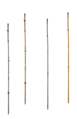 Foto auf Leinwand Used supports for small trees made of bamboo poles on isolated transparent background © Gold Picture