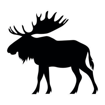 Moose black vector icon on white background