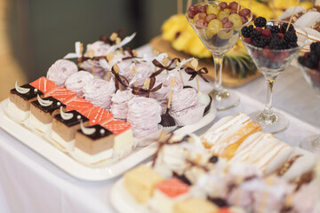 Closeup of many small cakes, sweets, fruits served on plate for cocktail party or shelves of store. Candy bar on birthday or wedding holiday dinner. catering food. tasty dessert. Wedding banquet table