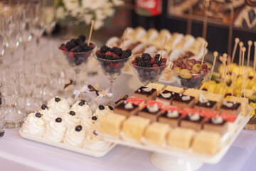 Closeup of many small cakes, sweets, fruits served on plate for cocktail party or shelves of store. Candy bar on birthday or wedding holiday dinner. catering food. tasty dessert. Wedding banquet table