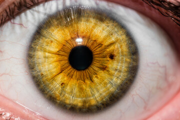 Fotografía macro de ojo humano - obrazy, fototapety, plakaty