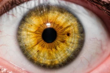 Foto auf Acrylglas Fotografía macro de ojo humano © FCOLOMBATTI