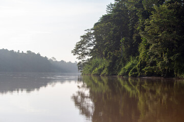 Tranquil river scene with misty forested banks reflecting on the calm water.