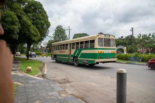 An old green and cream bus driving on a city street lined with trees and grassy areas.