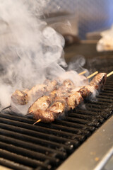 grilled meat on the grill