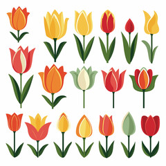 vector collection of tulip flowers