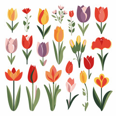 vector collection of tulip flower