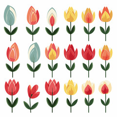 vector collection of tulip flower