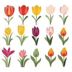 Fototapeta premium vector collection of tulip flower