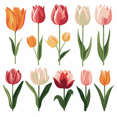 Fototapeta premium vector collection of tulip flowers