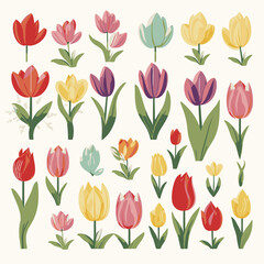 vector collection of tulip flowers
