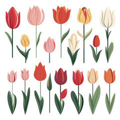 Obraz premium vector collection of tulip flowers